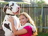 Německá doga - vysoký, statný pes, který poskytne oporu psychickou i fyzickou.