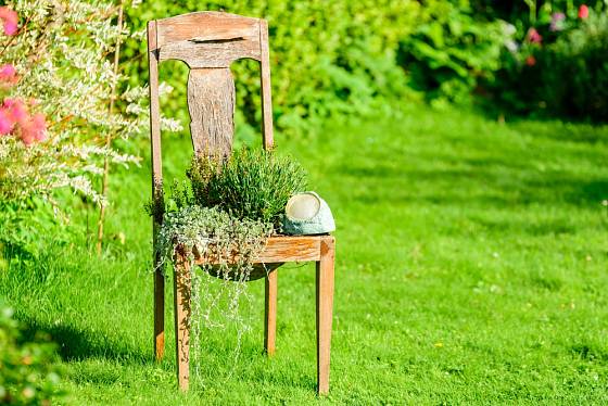 Židle, na kterou se usadily bylinky nahrazuje klasickou pěstební nádobu.