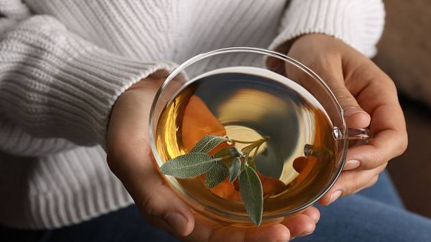 Jak pomáhá šalvějový čaj ženám v menopauze?