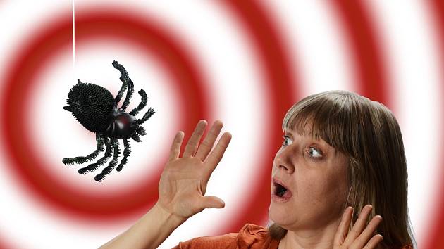 Arachnofobie je jednu z nejrozšířenějších fobií ze všech