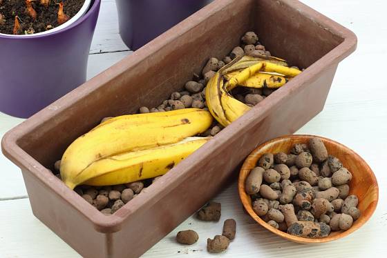 Banánové slupky poslouží jako hnojivo i při pěstování rostlin v nádobách.