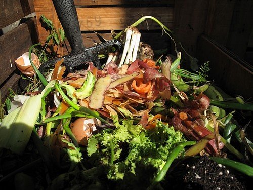 Každý zkušený zahradník ví, že správně založený kompost dokáže vytvořit docela vysoké teploty a přirozeně vydává teplo, které vám s přehledem dokáže vyhřívat skleník.