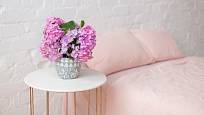 Růžově kvetoucí hortenzie v ložnici.