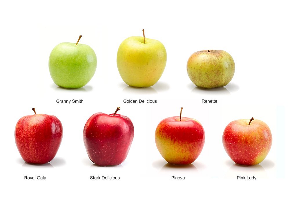 Jak poznat odrůdu jablek?