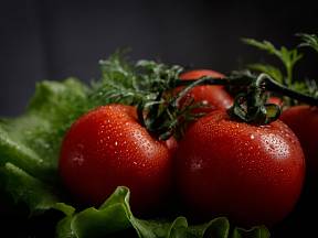 Jak pěstovat saláty a rajčata přímo v bytě: bez půdy