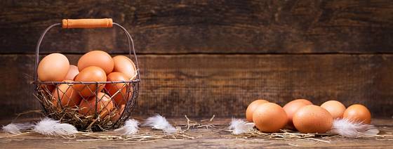 Pochutnejte si na čerstvých vejcích z volného chovu