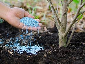 Na podzim jsou pro hnojení vhodná hnojiva bohatá na draslík.