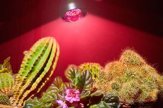Umělé bodové osvětlení pro pokojové rostliny