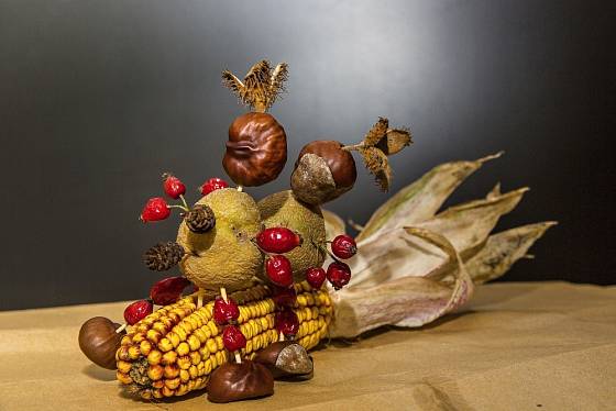 Kaštaňák 2019 - kukuřičný klas, brambory, šípky, bukvice, kaštany, olšové šišky
