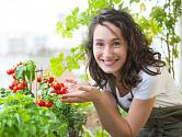 Kombinujte byliny s rajčaty a zjistěte si jak se rostliny vzájemně ovlivňují.