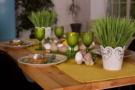 Jarní svěže zelení osení patří i na sváteční stůl.