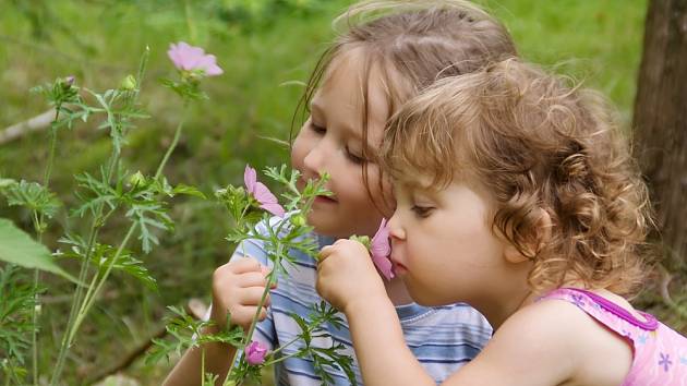Nebezpečné květiny by neměly být na zahradě, kde se pohybují děti.