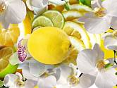 Citronová šťáva a orchidej? Super kombinace!