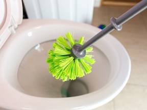 Záchodová štětka je důležitou součástí každé domácnosti a je nutné udržovat ji v čistotě.