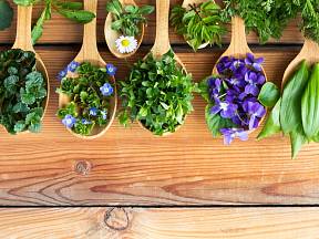 Ochutnejete divoké jarní bylinky plné zdraví!