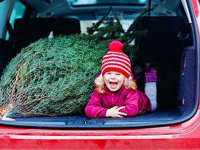Kolik stojí vánoční stromek? Vyplatí se koupit umělý?