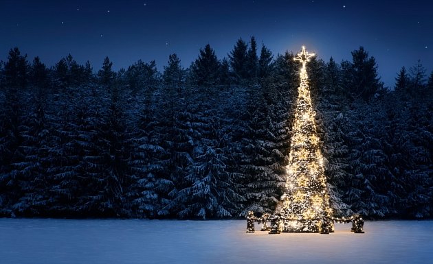 Vánoční strom v exteriéru vyžaduje speciální LED osvětlení se zabezpečeným zdrojem a ochranou. 