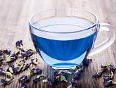 sléz maurský modrý čaj