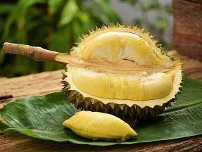 Durian vyniká lahodnou chutí a odporným zápachem