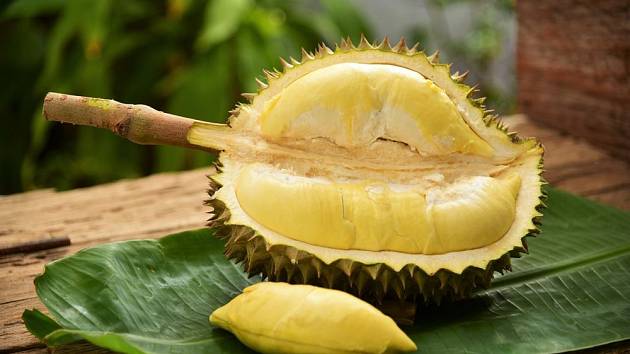 Durian vyniká lahodnou chutí a odporným zápachem