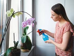 Připravte si domácí postřiky a zatočte s každým škůdcem, který trápí vaši orchidej. 