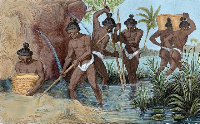 Indiáni byli nuceni opustit pole a rýžovat pro dobyvatele zlato.