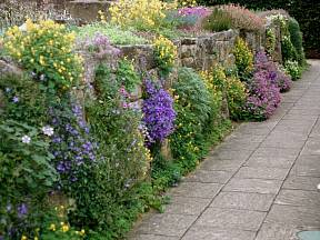 Květinové zídky budou nádhernou dominantou vaší zahrady.