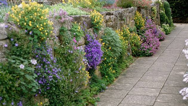 Květinové zídky budou nádhernou dominantou vaší zahrady.