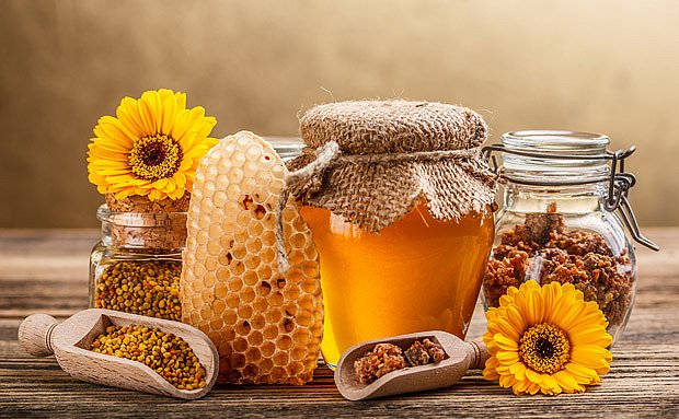 Včelí med, vosk, propolis a pyl neboli včelí chléb