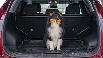 Mříž v autě je praktická pro oddělení prostoru pro psa a pro osoby na zadních sedadlech.