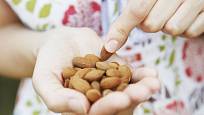 Ořechy jsou zdravé, ale energeticky vydatné