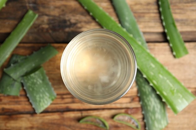 Z listů aloe vera si můžete připravit drink nebo je použít jako lék na kožní úrazy či popáleniny.