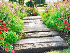 Které květiny se hodí na obrubu chodníků a zahradních cest?