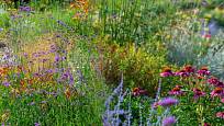 trvalkové výsadby jsou základem krásné zahrady plné života