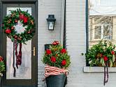 Vánočně můžeme vyzdobit i buxusy před vchodem do domu.