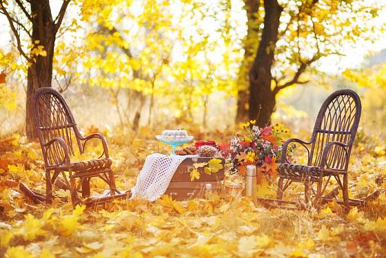 Uspořádejte si pod širým nebem oslavu padajícího listí