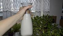 Mléko podpoří nejen naše zdraví, ale i některé rostliny.