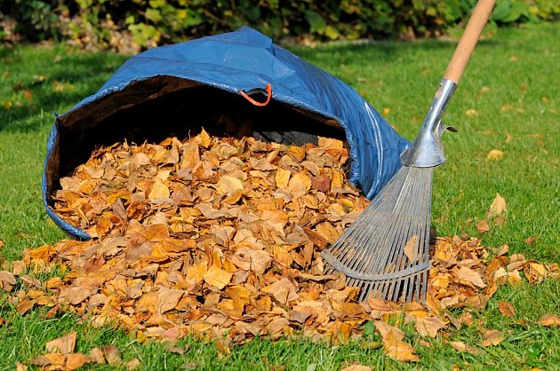 Chytré tipy, jak využijete na zahradě spadané listí | iReceptář.cz