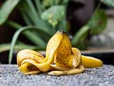 Banánová slupka je plná užitečného draslíku a fosforu, hořčíku, vápníku a dalších důležitých minerálů, které mají pozitivní vliv na lepší nasazení poupat a bohatšímu a delšímu kvetení.
