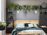 Víte, které rostliny patří do ložnice, když máte rýmu?