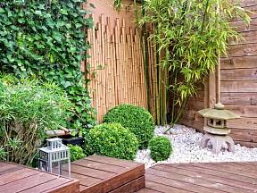 Bambus v japonské zahradě.