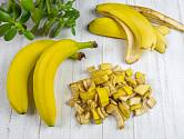 Banánové slupky obsahují 42 % draslíku, 3 % fosforu a dále i vápník, železo a hořčík. Jde tedy o skvělou kombinaci v péči o rostliny doma i na zahradě.