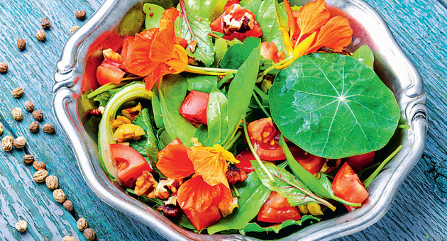 Zeleninový salát s lichořeřišnicí