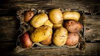 Na způsobu skladování závisí trvanlivost brambor
