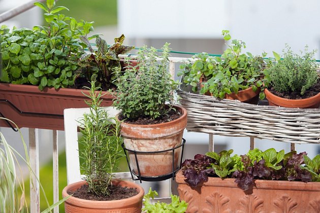 Rostliny na balkóně umístěte do více pater