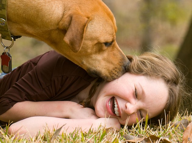 Psi nám dokazují denně svou bezpodmínečnou lásku a oddanost. 