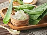 Aloe vera gel může posloužit i k výrobě přírodního mýdla.