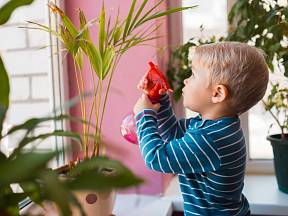 Děti často rády pomáhají s péčí o kytičky. Baví je hlavně rosení.