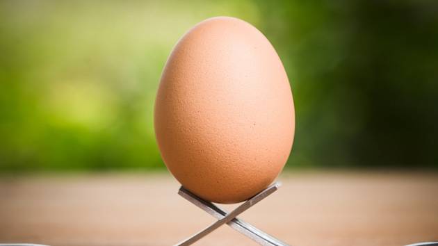 Jedno vejce denně je pro většinu lidí zdraví prospěšné.