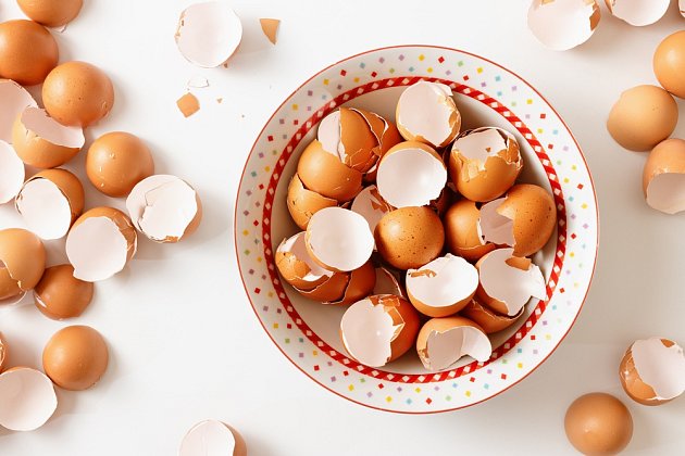 Víte, k čemu použít čaj z vaječných skořápek?